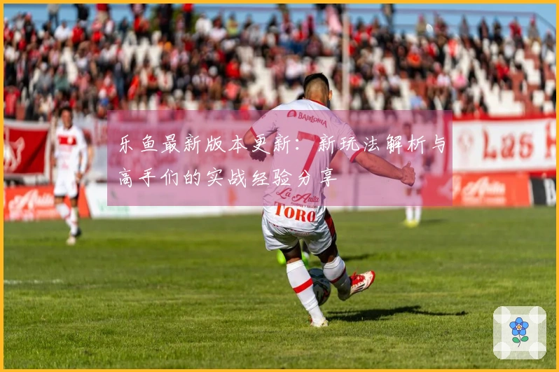 乐鱼最新版本更新：新玩法解析与高手们的实战经验分享