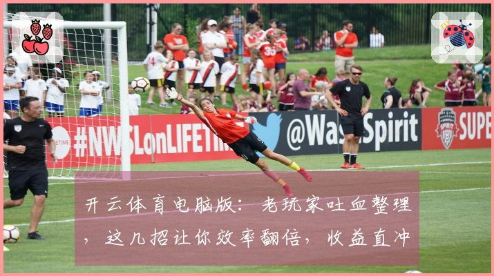 开云体育电脑版：老玩家吐血整理，这几招让你效率翻倍，收益直冲云霄！