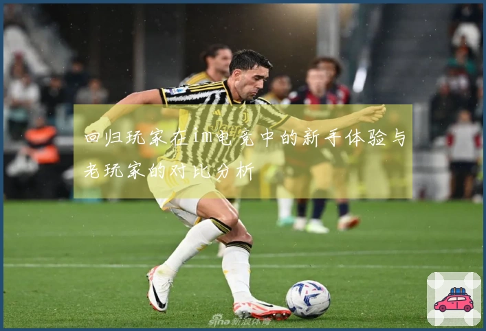 回归玩家在im电竞中的新手体验与老玩家的对比分析